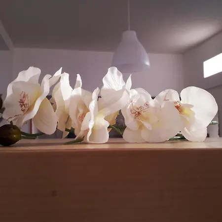 Guest house Sadinahome